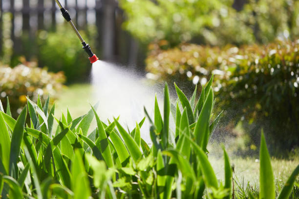 24/7 Emergency Wasp Removal experts in Coon Rapids, MN